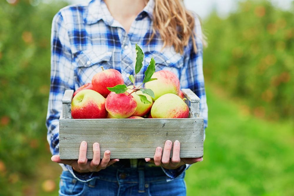  Health Benefits of Apples