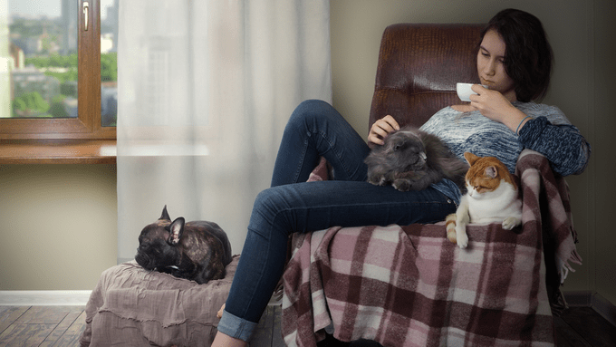 can cats and dogs catch colds, woman with cats and a dog