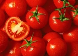10 tasty tomato recipes