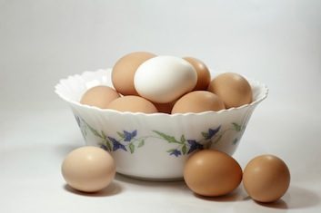 eggs