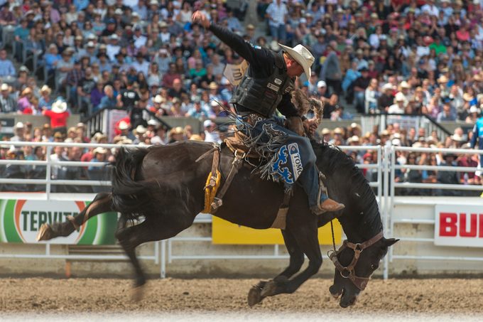10 Things You May Not Know About the Calgary Stampede 