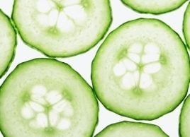 Cool cucumber: Our favourite cucumber recipes