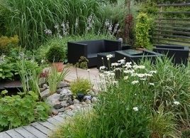 Creating a low-allergen garden