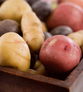 Nutrition: Study finds potatoes help reduce blood pressure