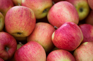 Nutrition: Add an apple to your February day