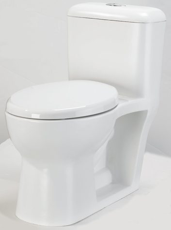 Rona collection toilet