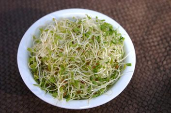 The benefits of alfalfa
