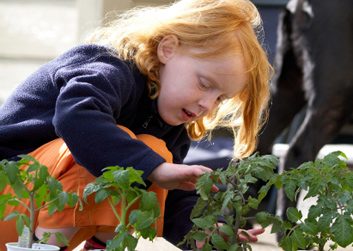 kids gardening