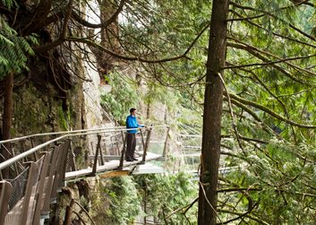 cliffwalk