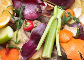 kitchen food waste compost