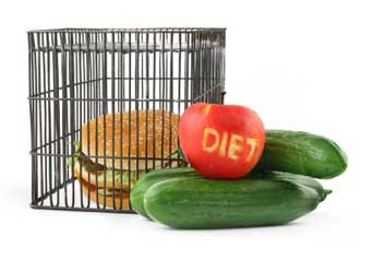 diet ban junk food