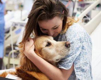 Could your pooch be a therapy dog?