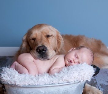 dogandbaby