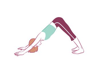 Anti-aging yoga Downward Dog