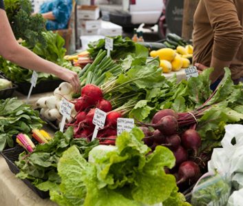 farmers market