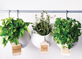 11 ways to use fresh herbs