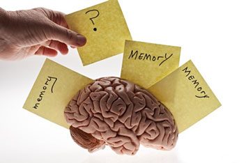 memory loss and brain