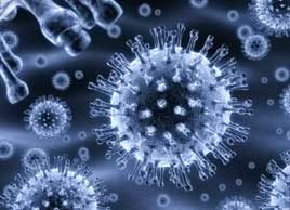 Virus alert: What viruses really do to your body