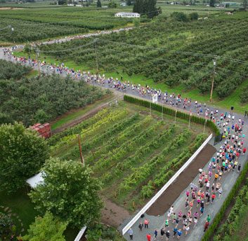 9. Kelowna Wine Country Half Marathon