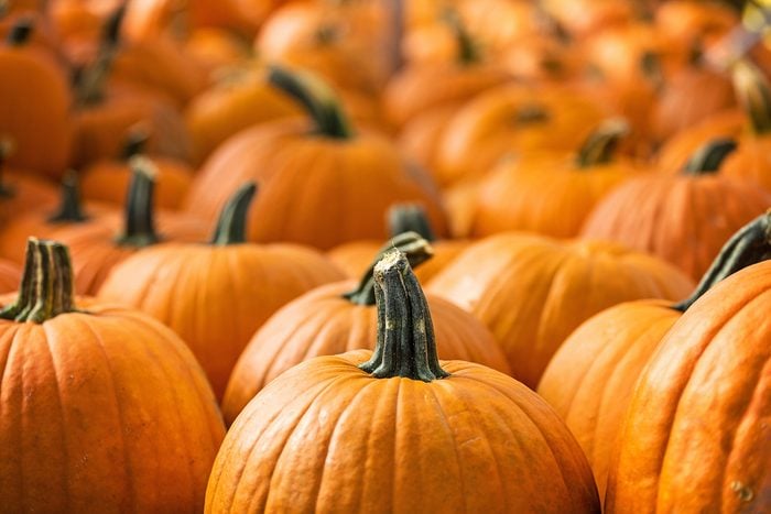 The beta-carotene in pumpkins helps lower cancer-related diseases. 