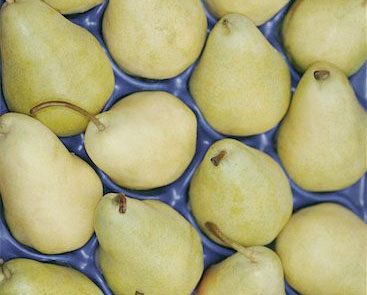 Pears and antioxidants