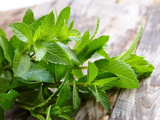 The Health Benefits of Peppermint 