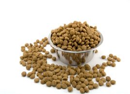 How to read pet food labels