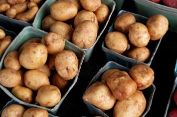 farmers market potatoes