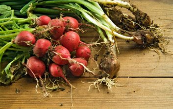 radishes and green onions