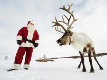 reindeer santa