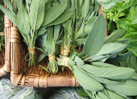 How sage can help your health