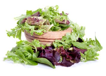 salad lettuce