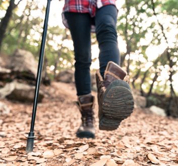The fitness benefits of Nordic walking