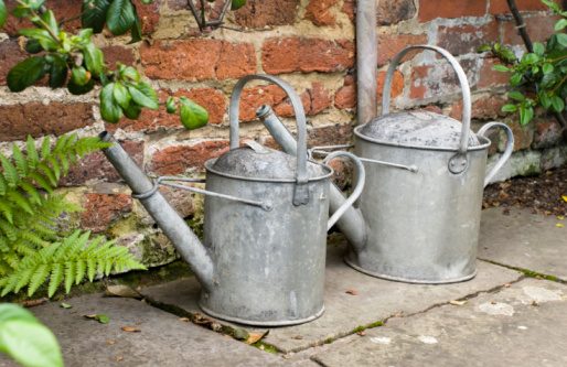 watering cans gardening