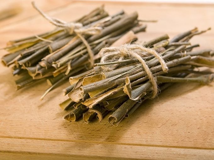 Willow: A Natural Remedy for Pain 