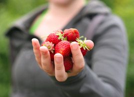 womanholdingstrawberries