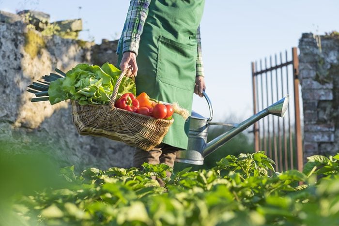 gardener-growing-veggies