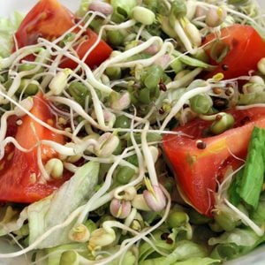 Bean Sprout Salad