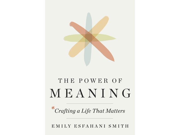 The Power of Meaning book