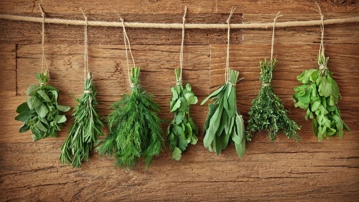 hanging herbs, ready to dry