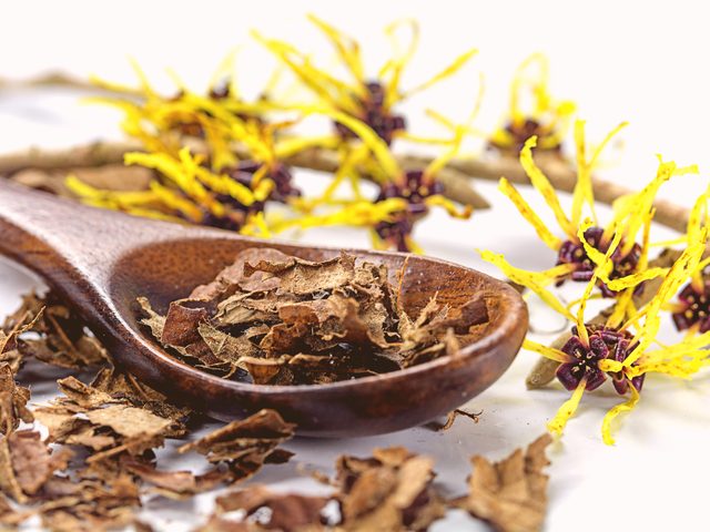Witch hazel is one of the surprising home remedies for acne