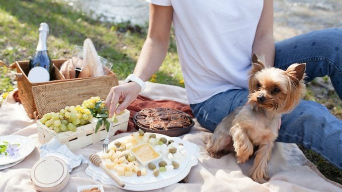 How many calories in cheese, a cheese platter picnic