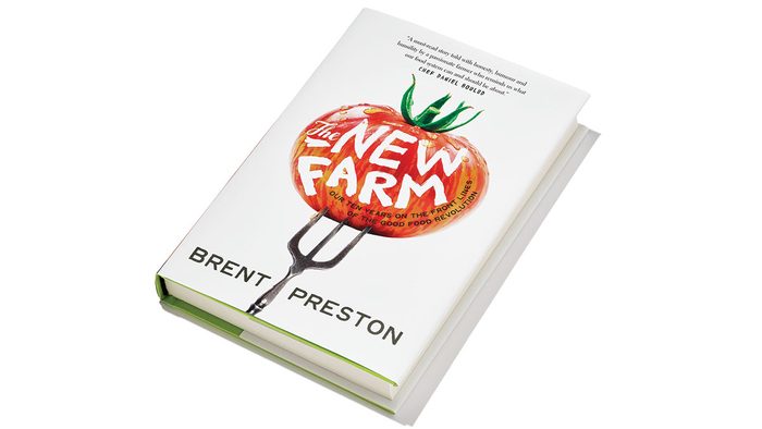summer shopping, The New Farm book