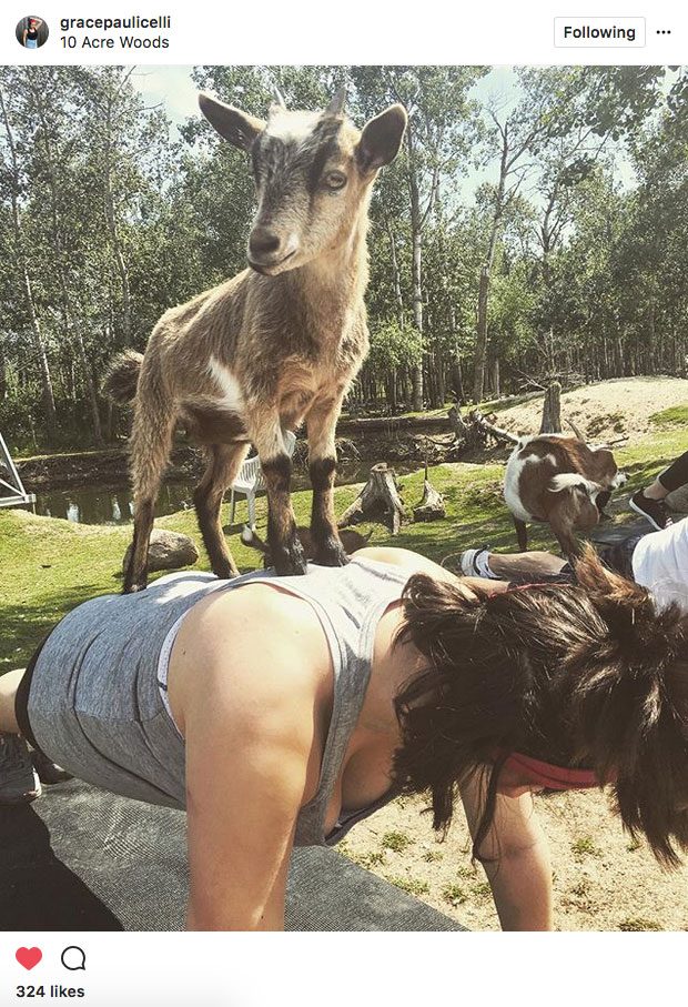 Instagram yoga, animal yoga at 10 Acres Woods