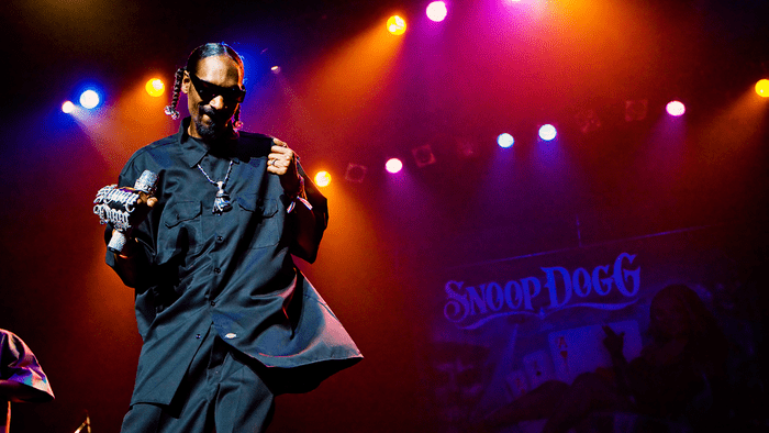celebrities and weed, Snoop Dog on stage