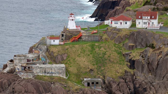 What to do in St. John's, The Cod Sounds Tour