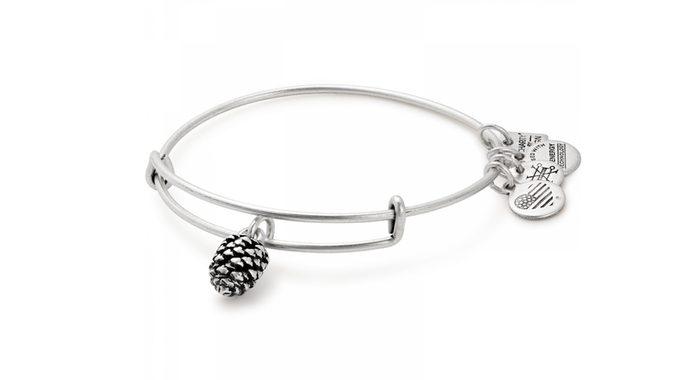 Giving Tuesday Charity Gifts Alex and Ani Pinecone Bangle