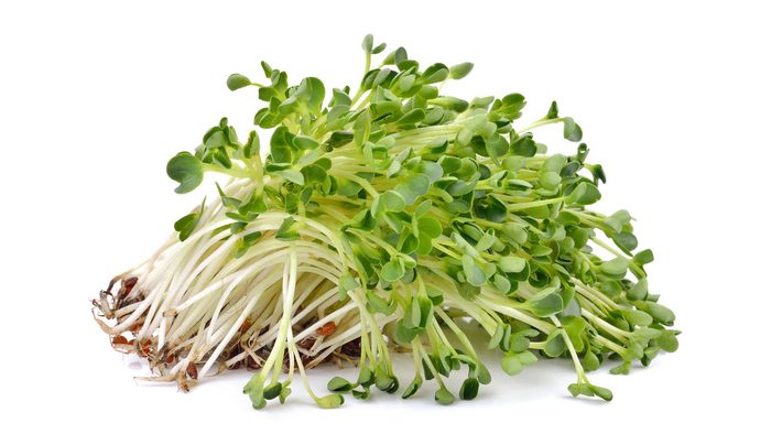 healthiest vegetables alfalfasprouts