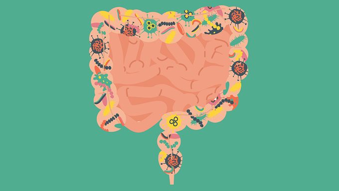 leaky gut advice, illustration of digestive tract