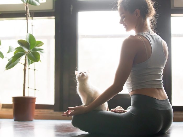 Meditation, woman meditating with a tiny white cat on her lap